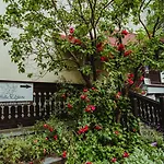 Oda ve Kahvaltı Elzbieta - Komfortowy Wypoczynek, Znakomite Recenzje Gosci 3*