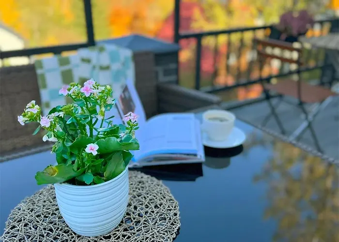 Elzbieta - Komfortowy Wypoczynek, Znakomite Recenzje Gosci 3*